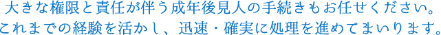 大きな権限と責任が伴う成年後見人の手続きもお任せください。 これまでの経験を活かし、迅速・確実に処理を進めてまいります。